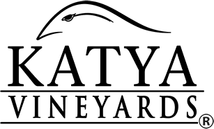 Client Logo 1